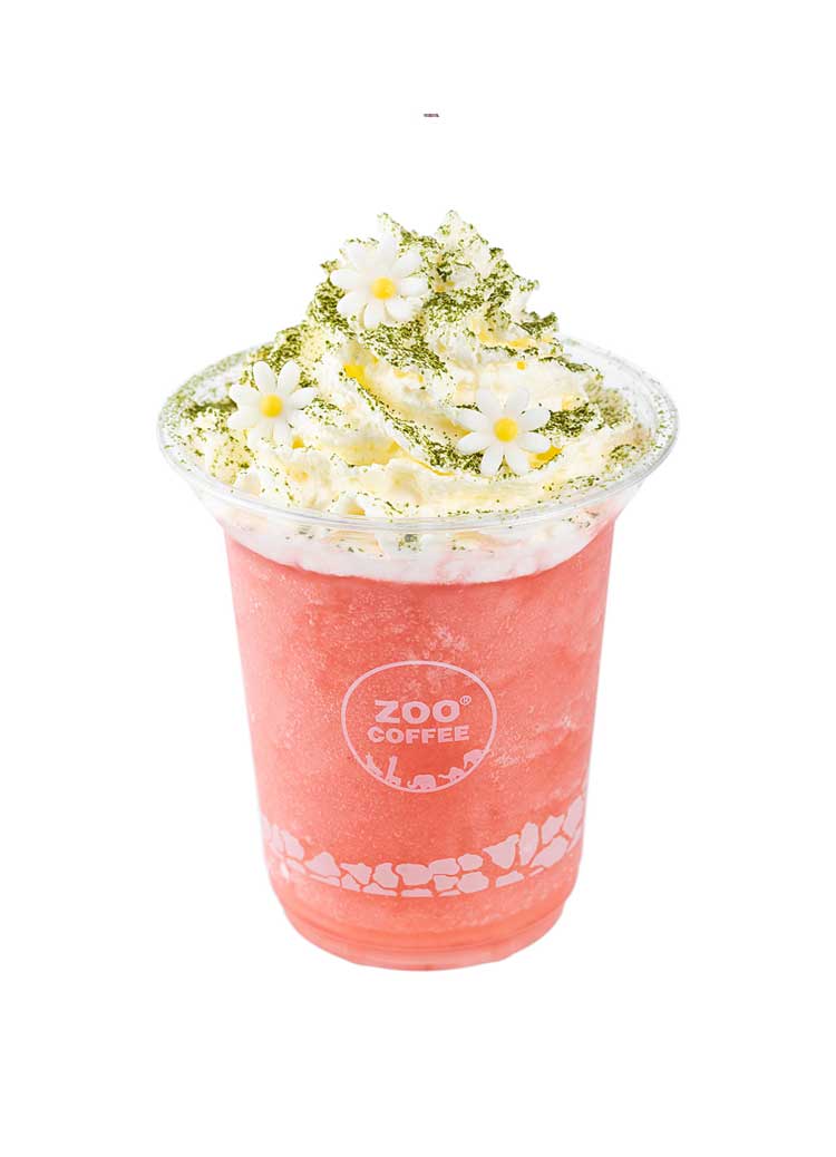春意山茶花