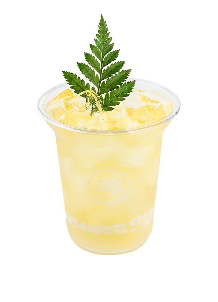 山茶花冰茶